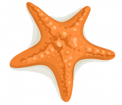Starfish Clipart Transparent Png 2 - AZPng