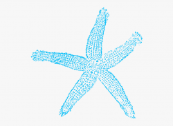 Turquoise Starfish #735745 - Free Cliparts on ClipartWiki