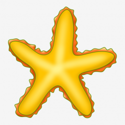 Yellow Starfish Creature, Aquatic, Yellow, Starfish PNG ...