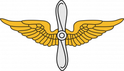 United States Army Aviation Branch - Wikipedia | Army Aviation ...