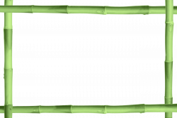 Bamboo Stick PNG Photo | PNG Mart