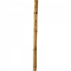 Clip Art Of Bamboo Stick - Alternative Clipart Design •