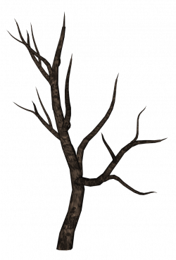 Tree Branches Silhouette at GetDrawings.com | Free for personal use ...