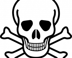 News | Ko-Hi-Nur – Archives