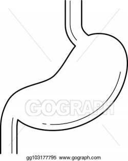 EPS Illustration - Stomach line icon. Vector Clipart ...