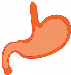 Ayurvedic Treatments for Peptic Ulcers