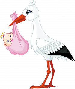 Babi Stork - Stickers | PNG