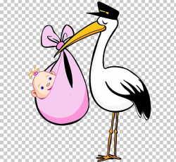 Bird Stork Cartoon PNG, Clipart, Animation, Artwork, Beak ...
