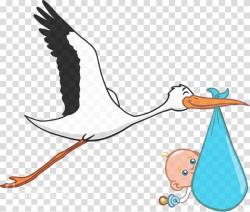 Stork carrying baby illustration, Infant Pregnancy ...