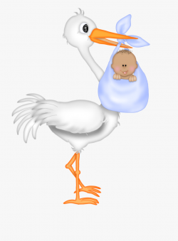 Baby Shower Stork Images - Baby Shower Boy Stork #181381 ...