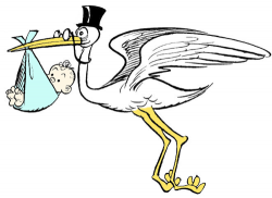 How to Draw Cartoon Stork Holding Newborn Baby Drawing ...