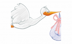 Stork Clipart Baby Stuff - Stork Carrying Baby Girl ...