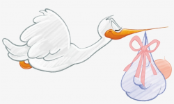 Stork Clipart Baby Png - Newborn Stork Png Transparent PNG ...