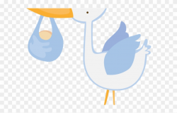 Stork Clipart Baby Transparent Background - Infant - Png ...