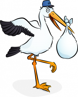 Stork Clipart Png ✓ All About Clipart