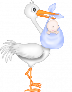 Does Your Stork Have The Baby?
