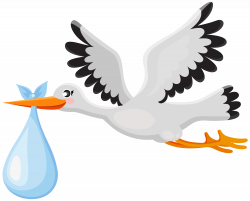 Stork with Baby PNG Clip Art Image | Gallery Yopriceville - High ...