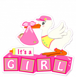 It's a Girl “Landing” Stork | Cute News!
