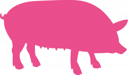 Collection of 14 free Farrowing clipart transparent. Download on ubiSafe