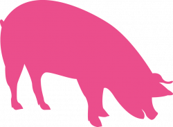 Collection of 14 free Farrowing clipart transparent. Download on ubiSafe