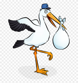 Stork Clipart Baby Transparent Background - Transparent ...