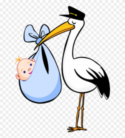 Pix For Stork Baby Png - Stork Baby Clipart Transparent Png ...