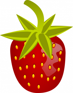 Strawberry | Free Stock Photo | Illustration of a strawberry | # 15112