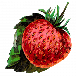 Antique Images: strawberry | Wictorian die gut | Pinterest | Clip ...