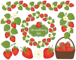 Strawberry Clipart - Vector Strawberry Clipart, Berry Clipart, Strawberries  Clipart, Vector Berry Clipart, Strawberry Clip Art