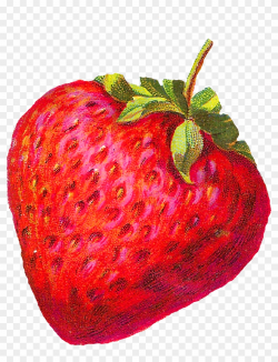 Digital Strawberry Downloads - Vintage Strawberry Clip Art ...