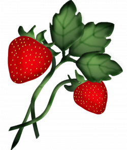 STRAWBERRIES CLIP ART | CLIP ART - FOOD - CLIPART | Fruit ...