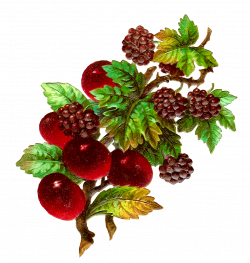 fru3-png.png (1422×1500) | DÉCOUPAGE: FRUITS AND BLOSSOMS | Pinterest