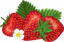 strawberries clipart - OurClipart