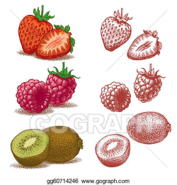 Vector Illustration - Strawberry, raspberry, kiwi. Stock ...