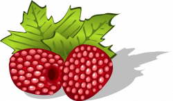 Raspberry 20clipart | Clipart Panda - Free Clipart Images