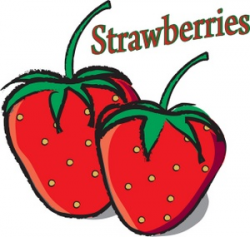 Strawberry clipart image drawing of two fresh ripe ...