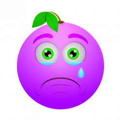 Free photo Crying Berry Icon Sad Smiley - Max Pixel