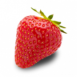 Strawberry Transparent PNG Pictures - Free Icons and PNG Backgrounds