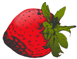Strawberry | Clipart & Illustrations | Pinterest | Illustrators