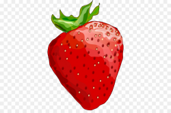 Heart Drawing clipart - Strawberry, Drawing, Illustration ...