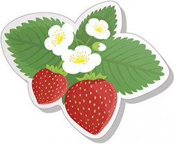 Amazon.com: Cute Sweet Fresh Farm Strawberry Cartoon Vinyl ...