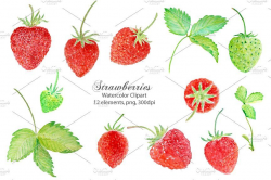 Watercolor Clipart Strawberry #Clipart#Watercolor ...