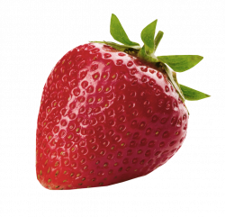 Strawberries - Downey's Strawberry Apple Farm