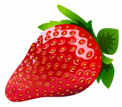 Strawberry - more information about strawberry!