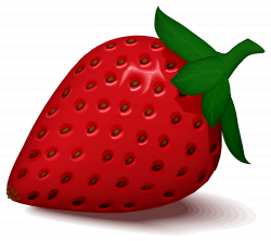 File:Strawberry by cactus cowboy.svg - Wikimedia Commons