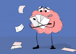 Stress and the Brain | Academic Success Center Online | RIT