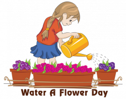 Water flower clipart - Clipground