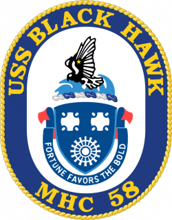 USS Black Hawk (MHC-58) - Wikiwand