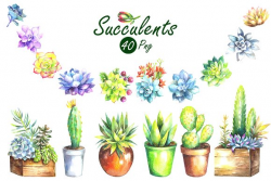 Watercolor Succulents Clip Art Set ~ Illustrations ~ Creative Market