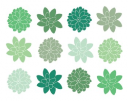 Green Succulent Clipart, Digital Clipart, Green, Flowers, Green Set #224
